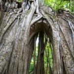 Sintra, Portugal, Lisbonne, coup de coeur