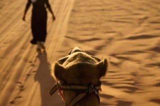 Jordanie, Wadi Rum, désert