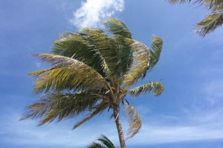 Caye Caulker, Belize, Amerique latine