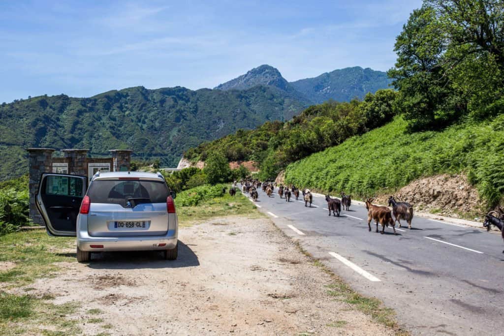 Castagniccia, Corse, roadtrip