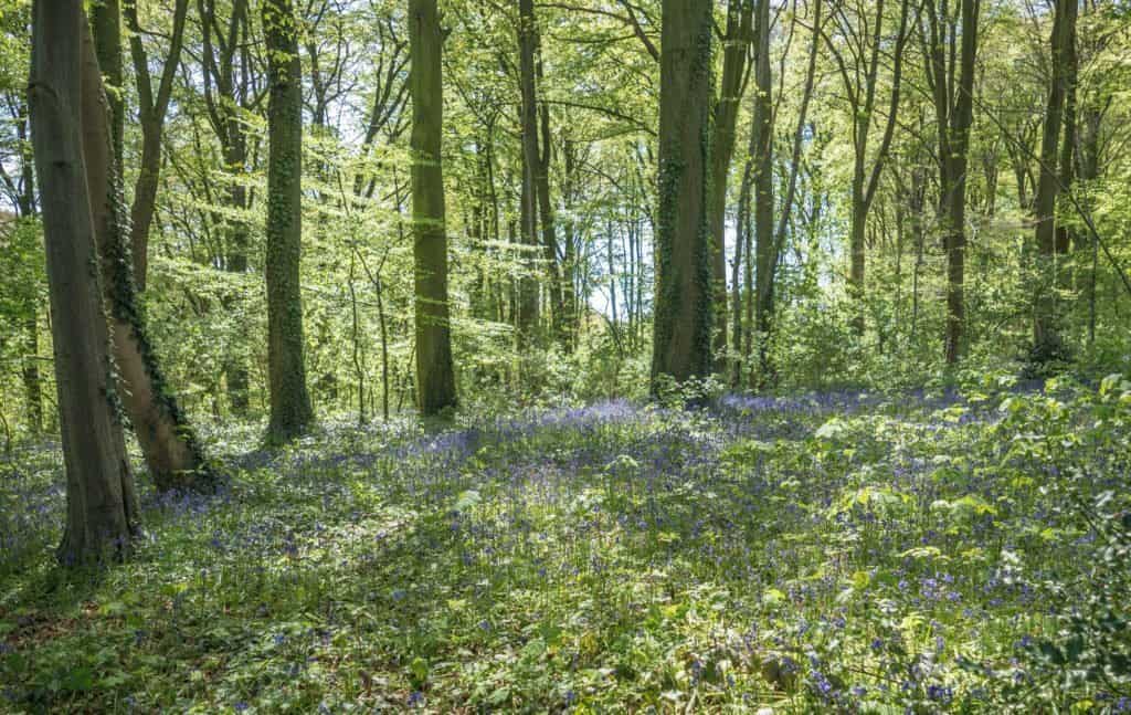 Villers-la-Ville, Belgique, Brabant Wallon, tourisme