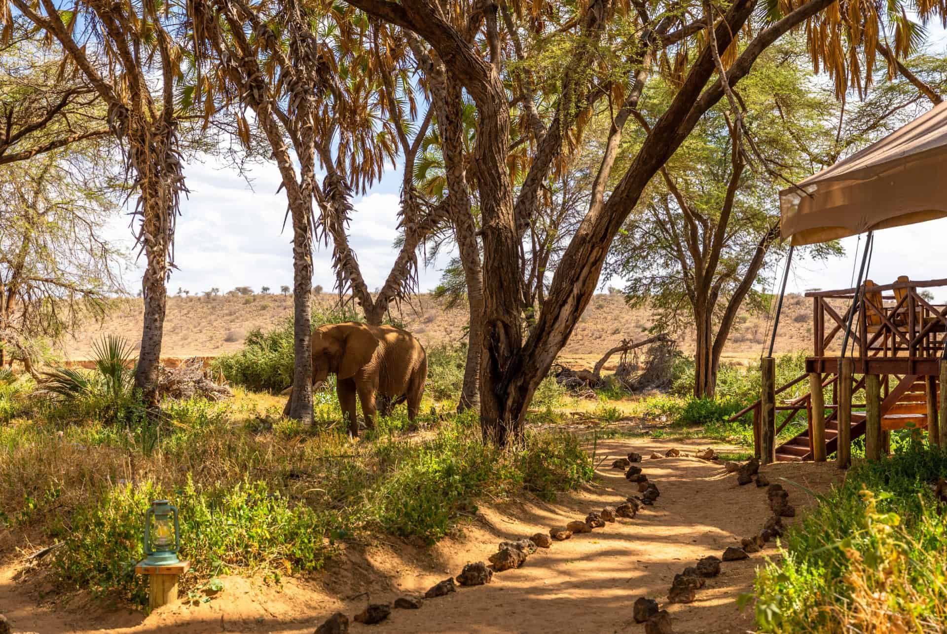 reserve samburu kenya