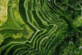 drone riziere que faire a bali