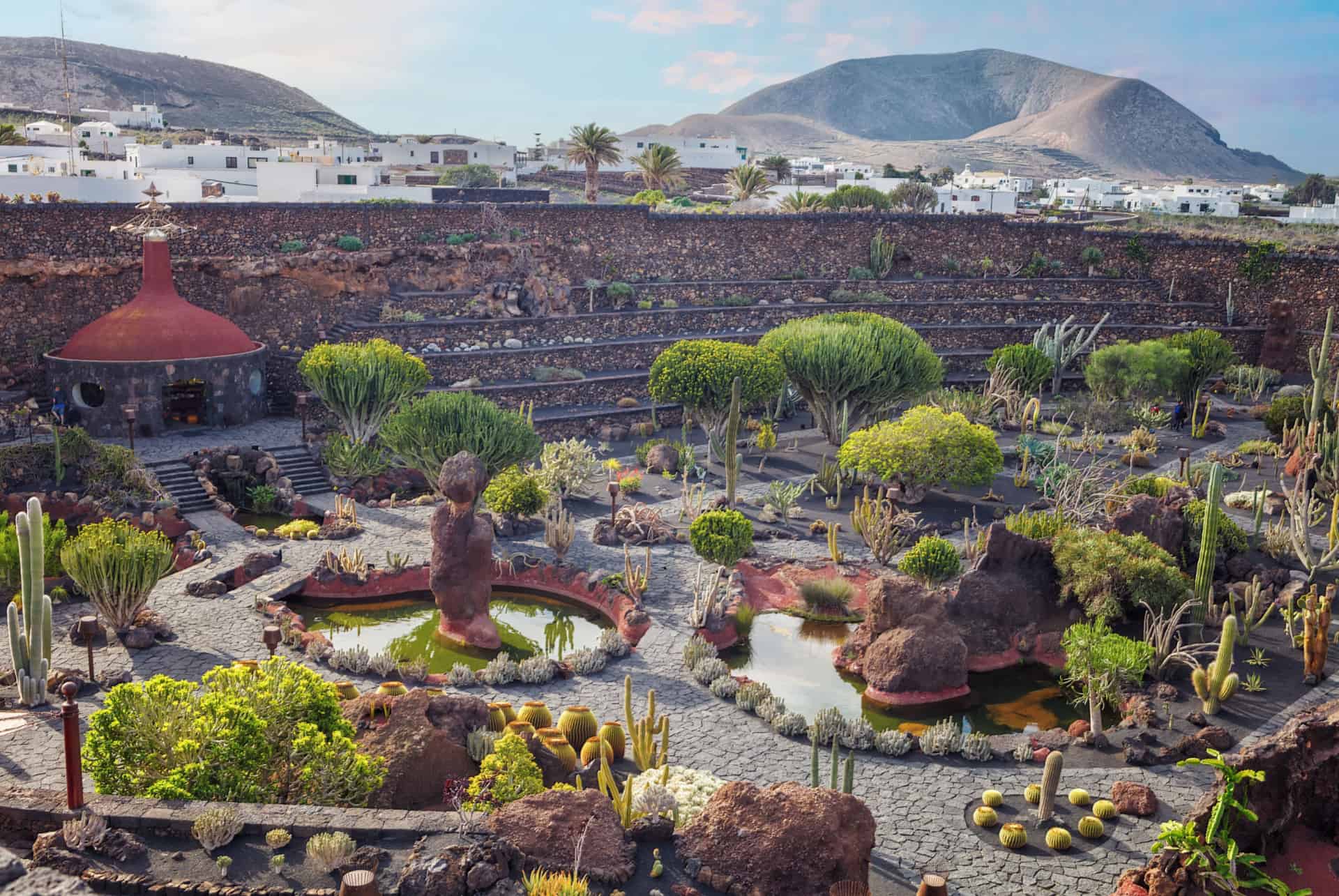 que faire a lanzarote jardin des cactus