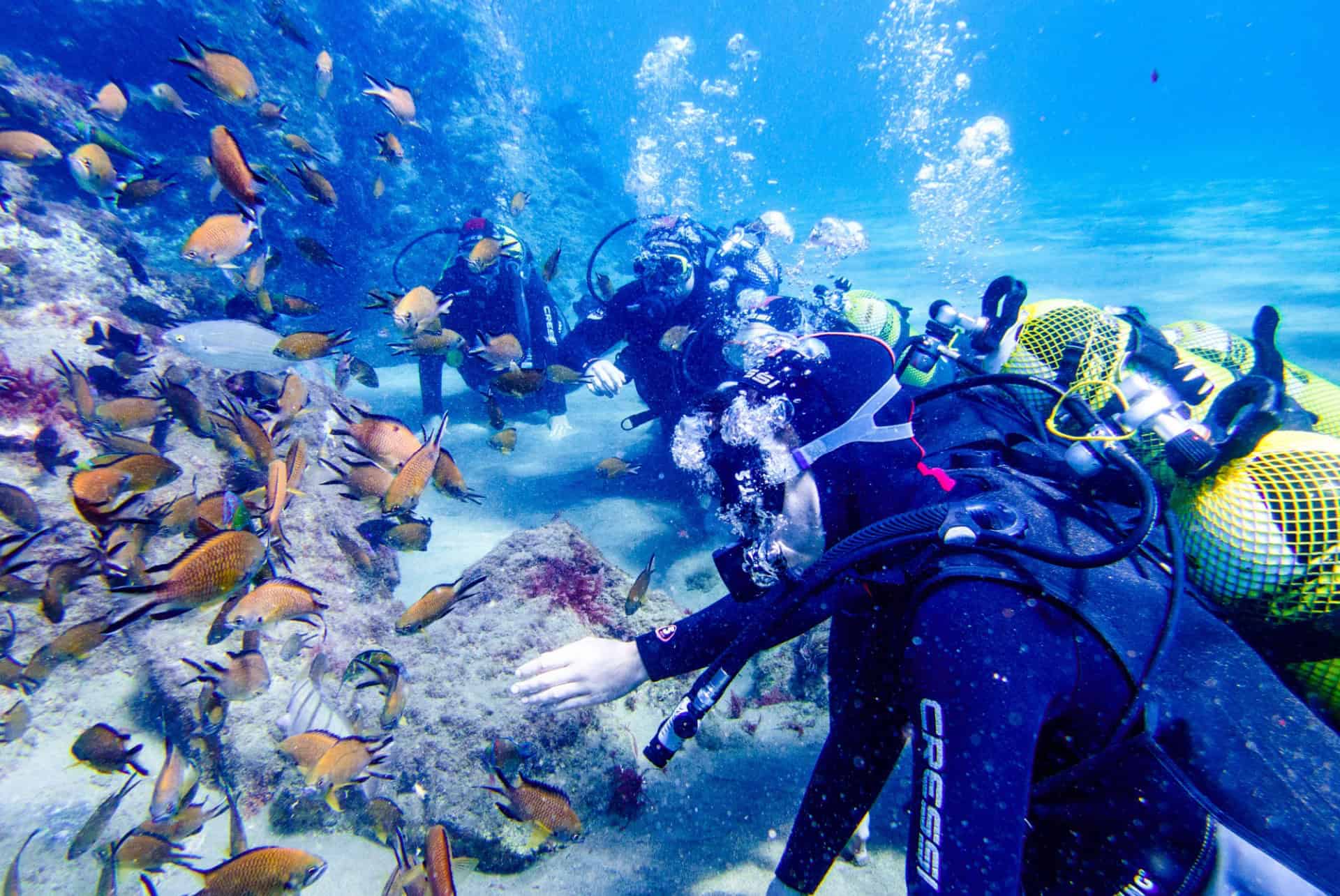 plongee sous marine lanzarote
