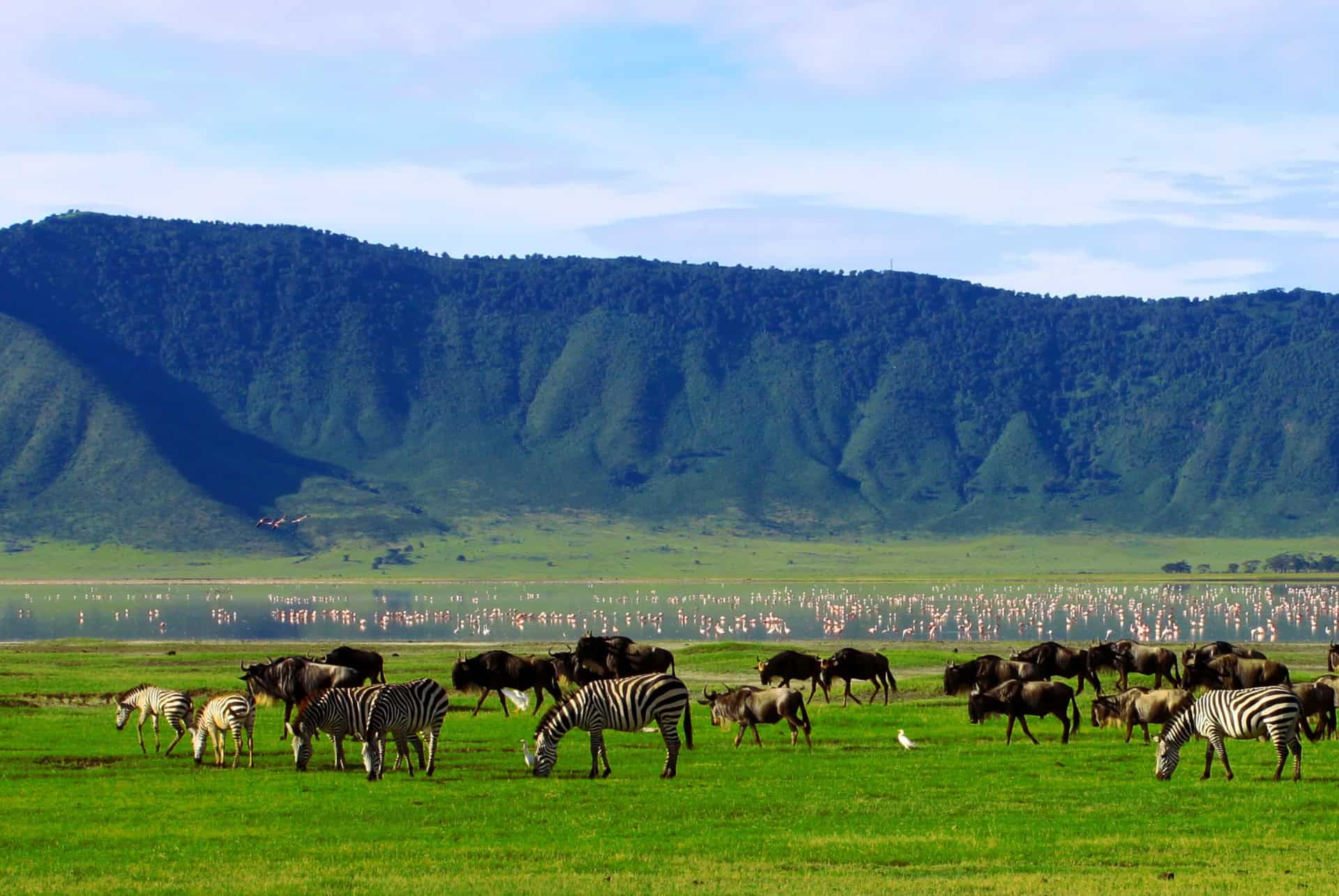 saison des pluies tanzanie