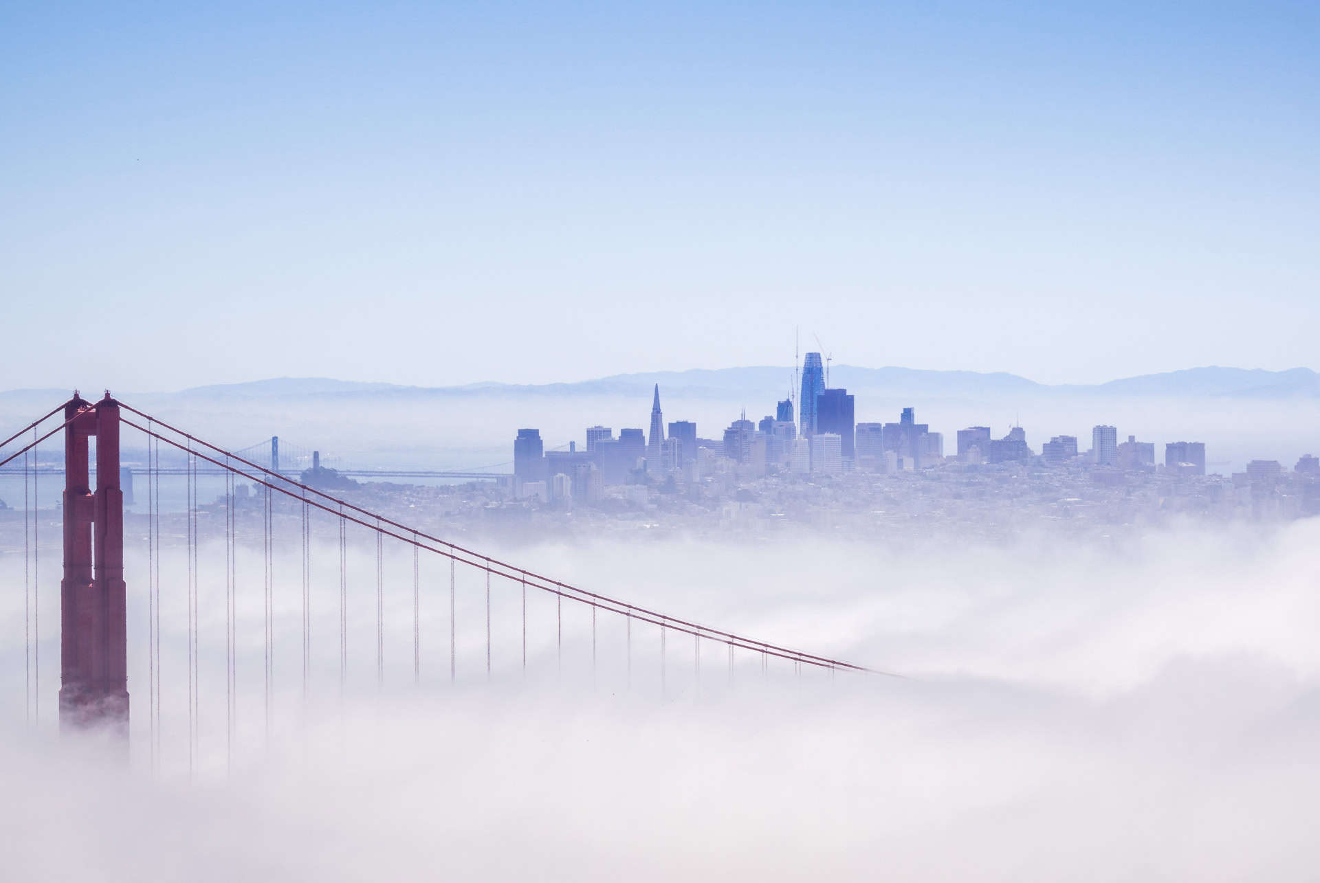 brouillard a san francisco