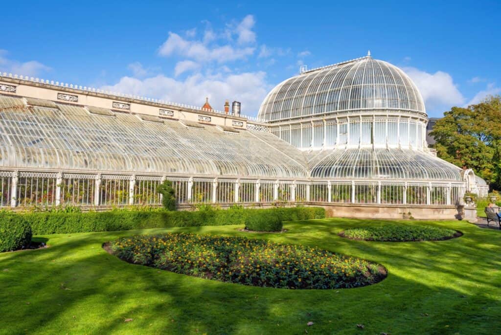 palm house dormir belfast