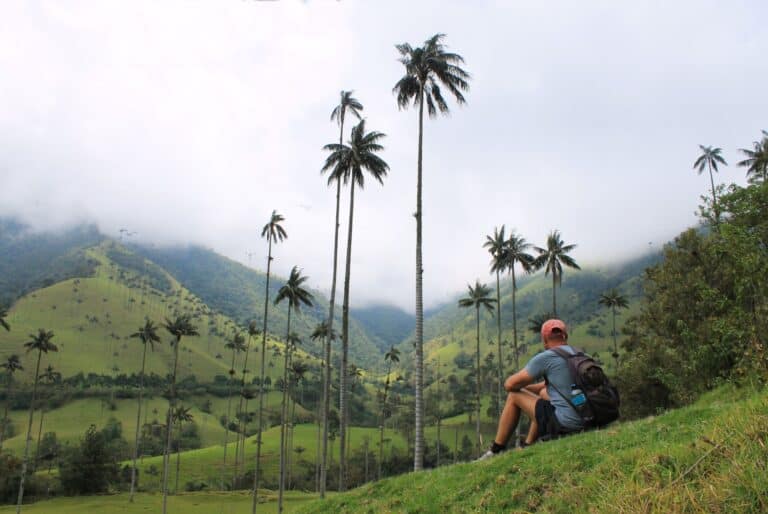 Excursion dans la vallée de Cocora