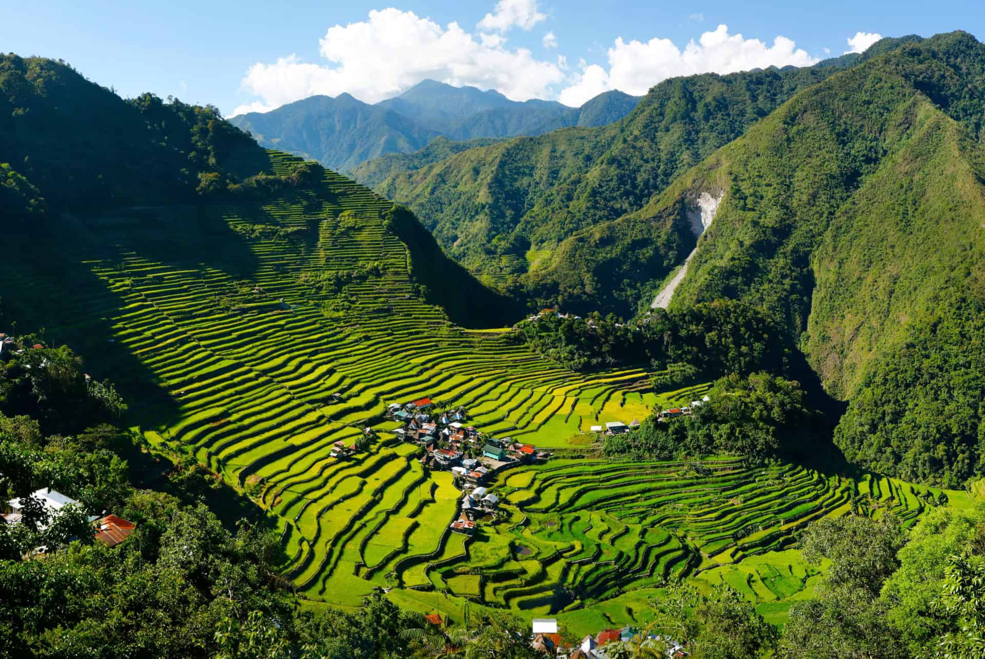 les rizières de banaue