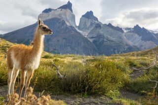 paysage patagonie chili