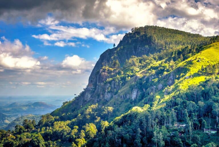 Visite guidée à Ella
