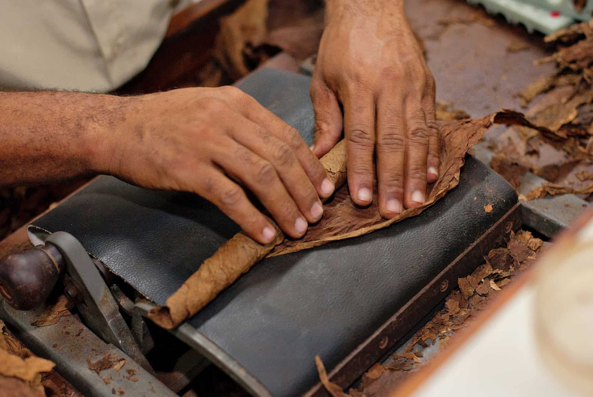 fabrique de cigare que faire en republique dominicaine