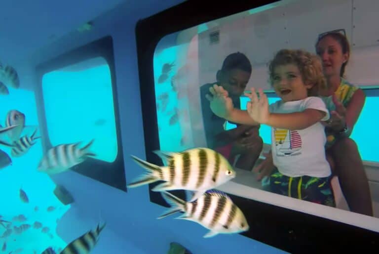 Visite semi-sous-marine dans le parc marin de Sainte-Anne