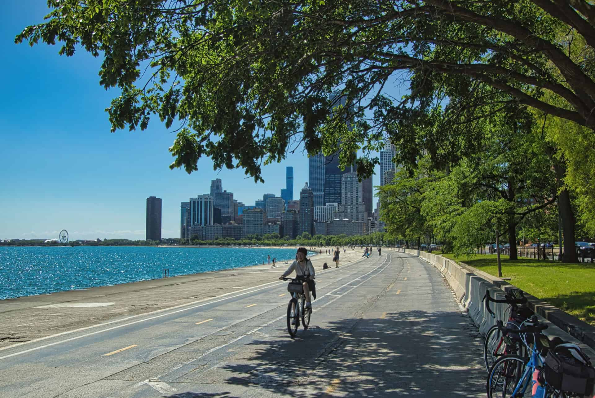 lakefront trail