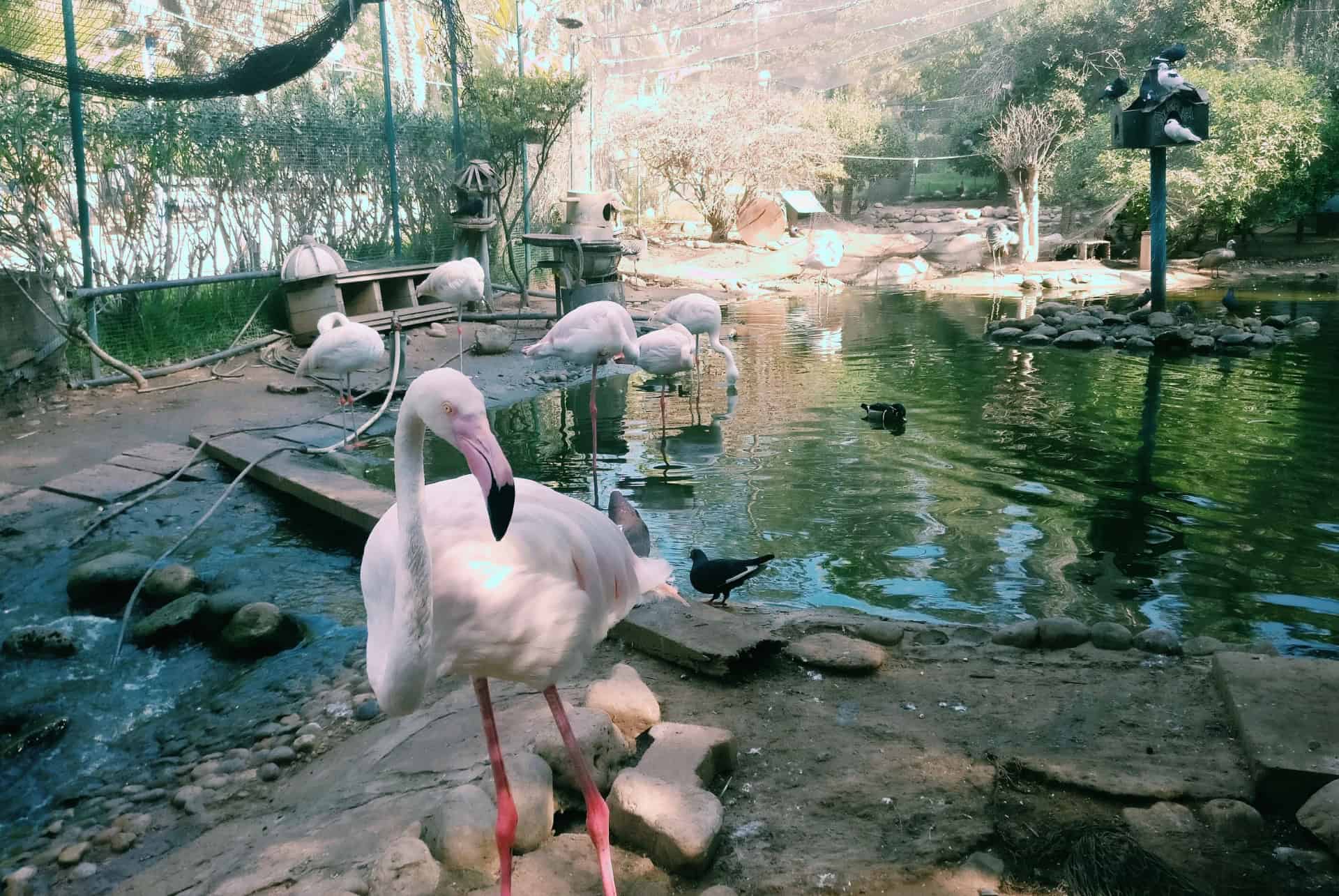vallee des oiseaux maroc