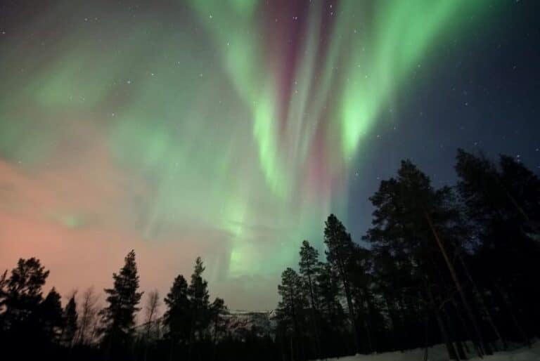 Alta - Visite en petit groupe pour voir les aurores boréales