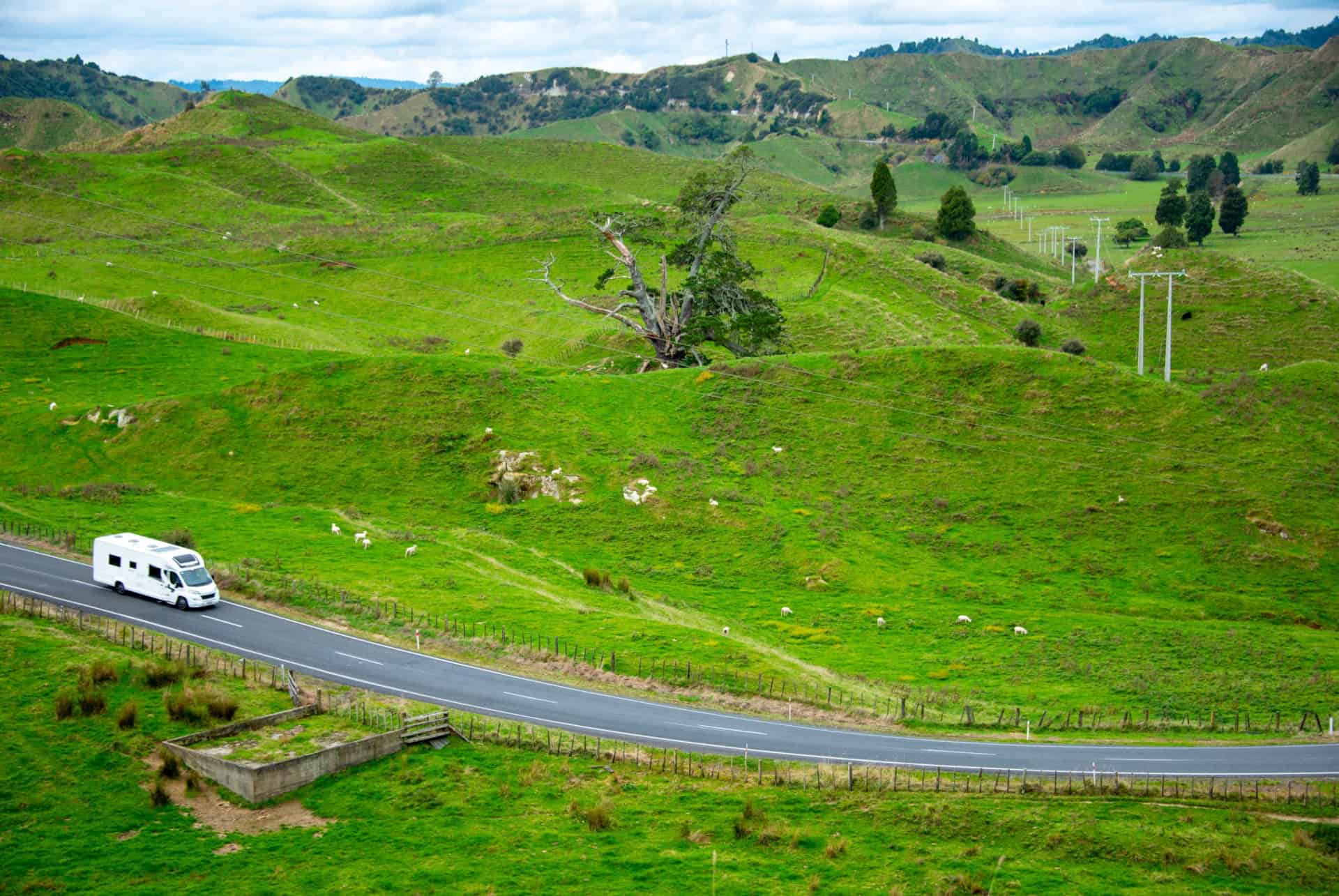 forgotten world highway