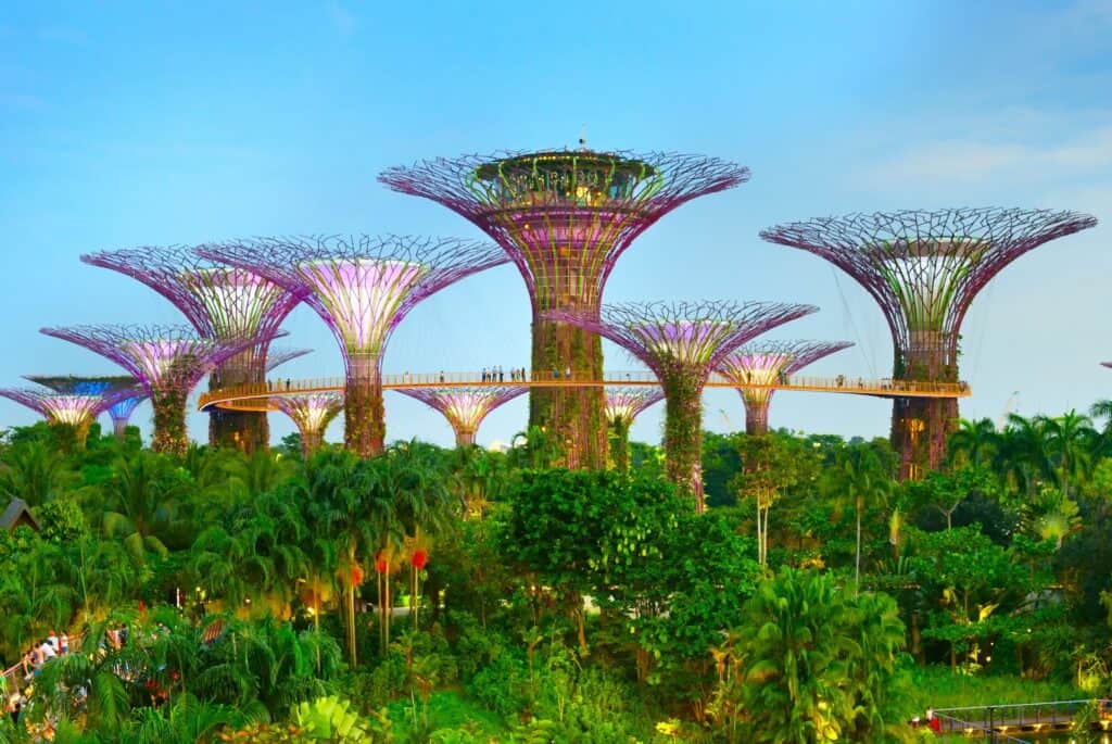 gardens by the bay singapore