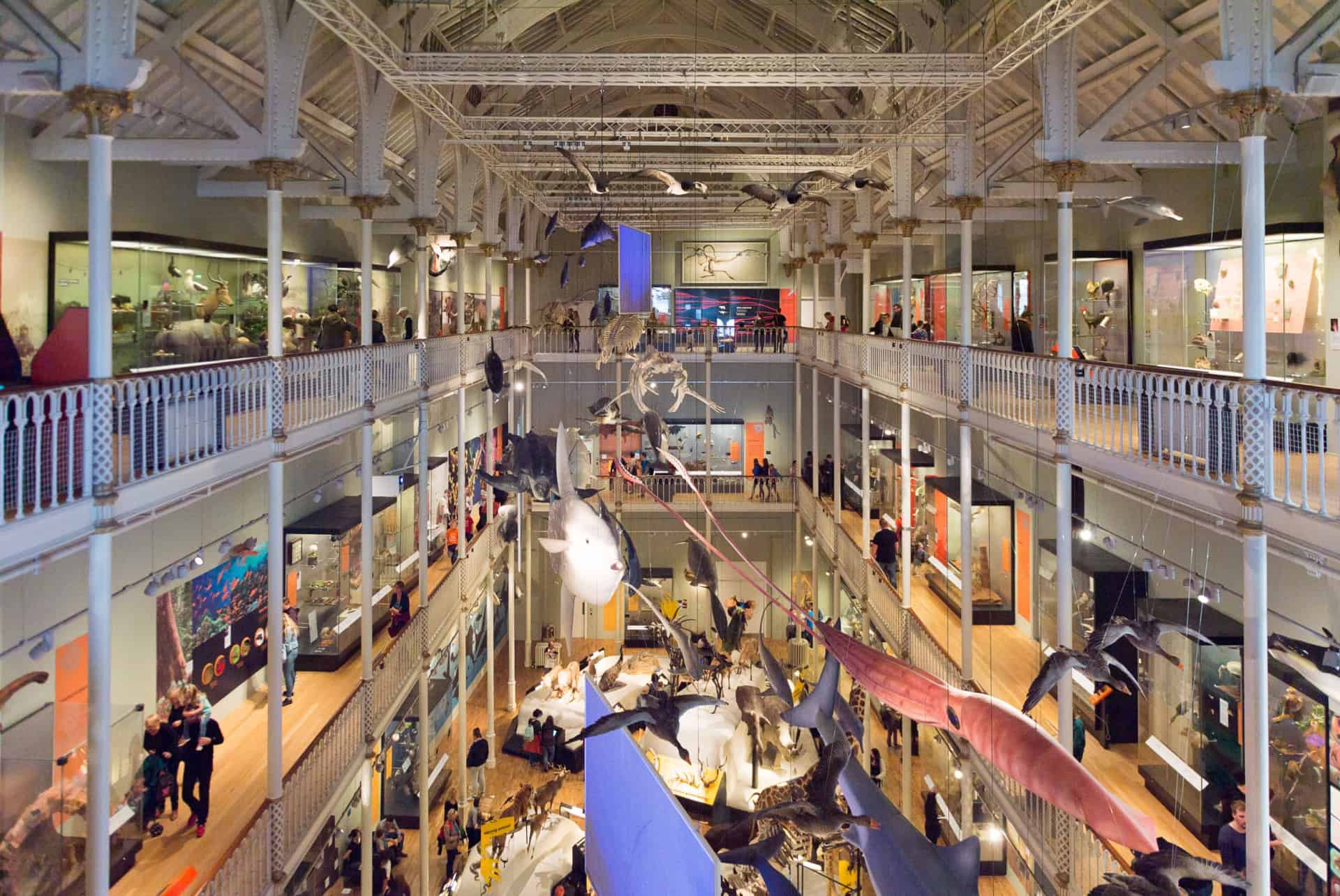 musée national d'écosse