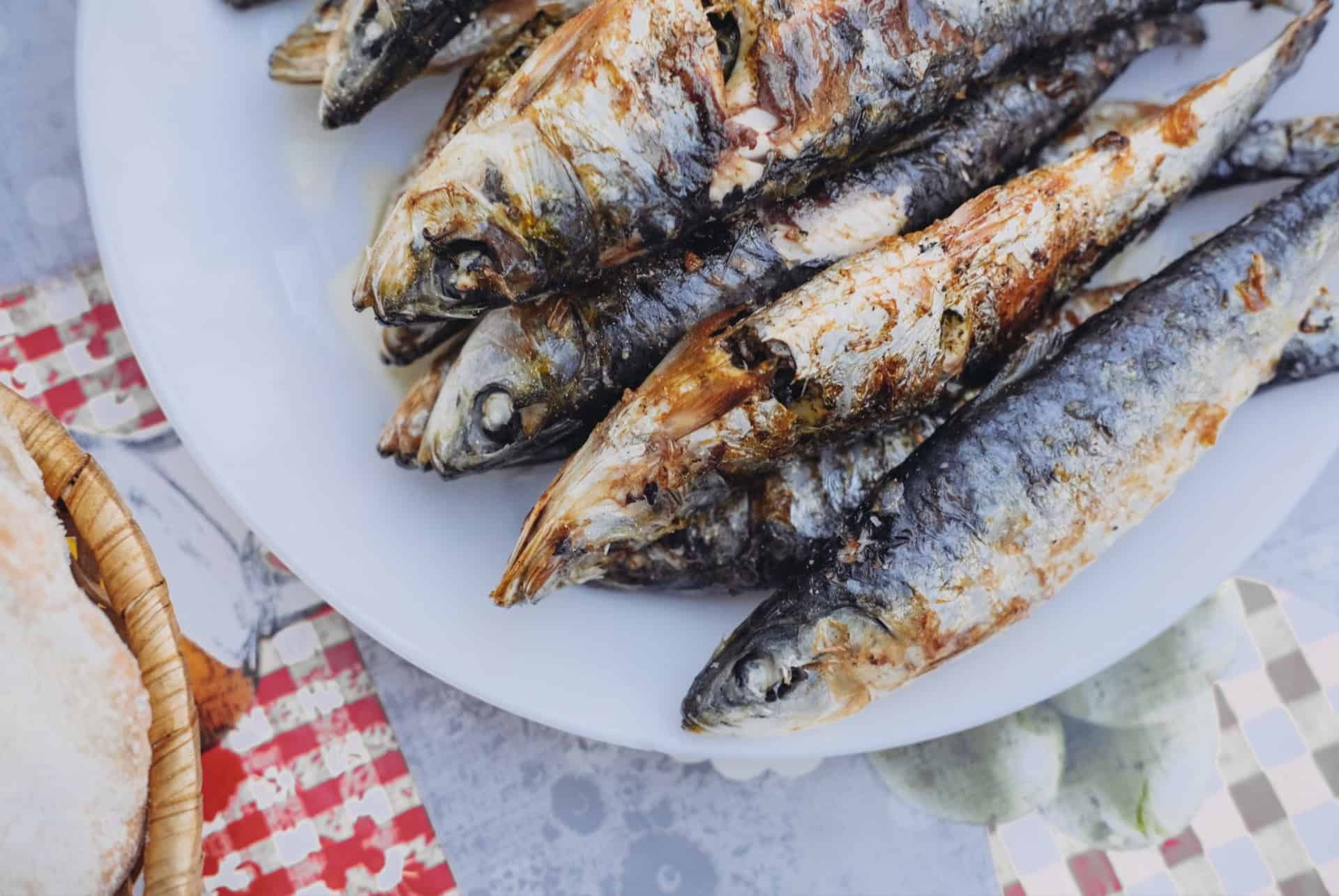 sardines lisbonne