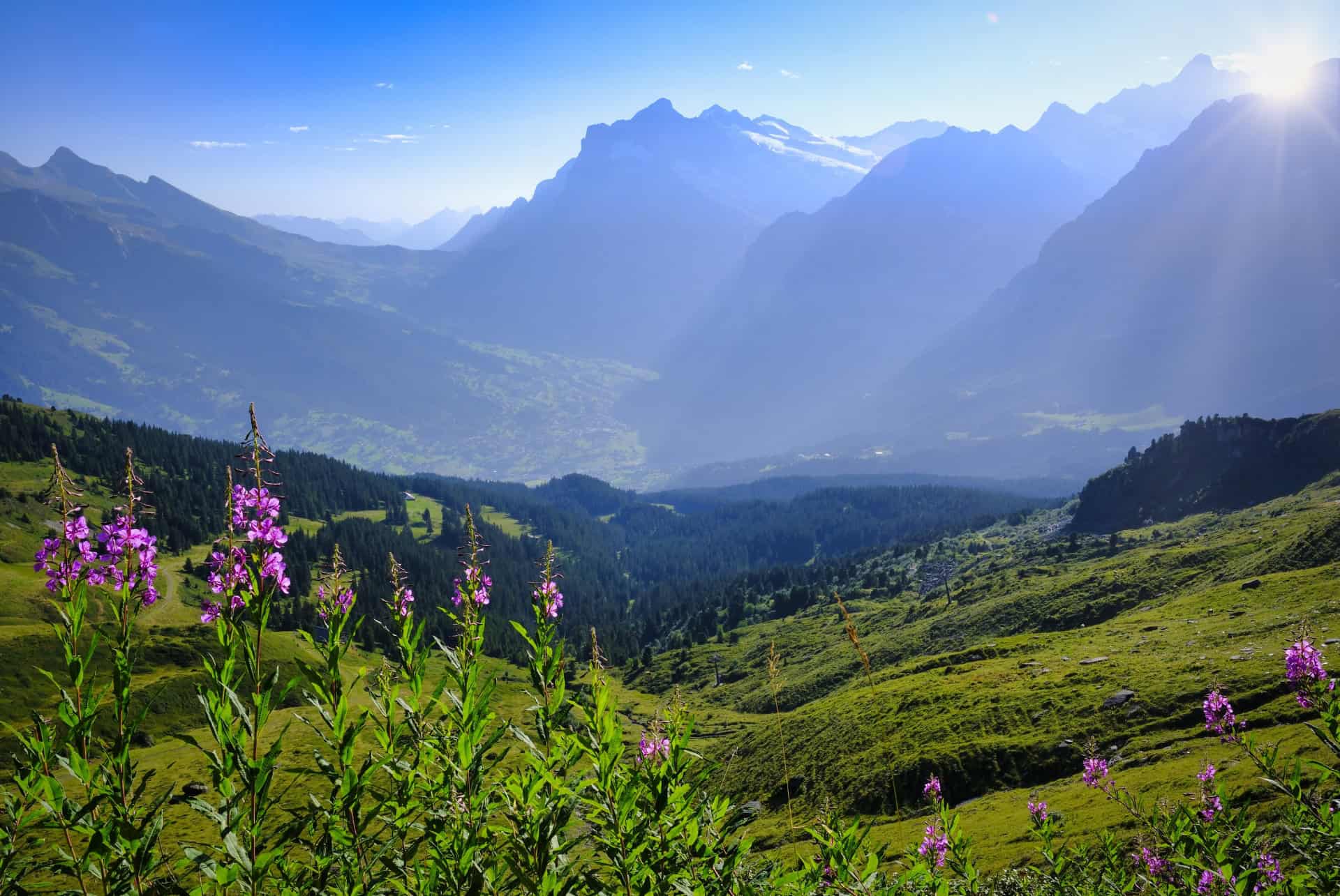 circuit de la petite scheidegg