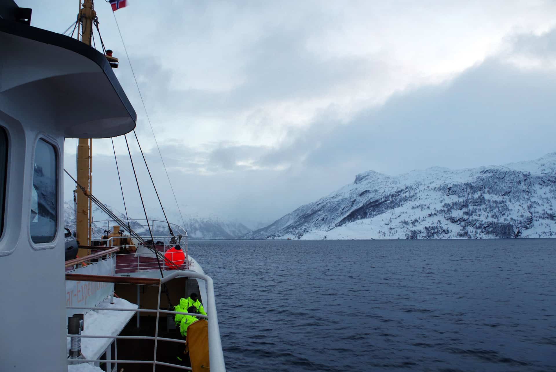 croisiere observation des baleines en norvege
