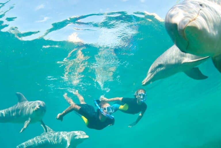 Excursion sur l'île aux Bénitiers