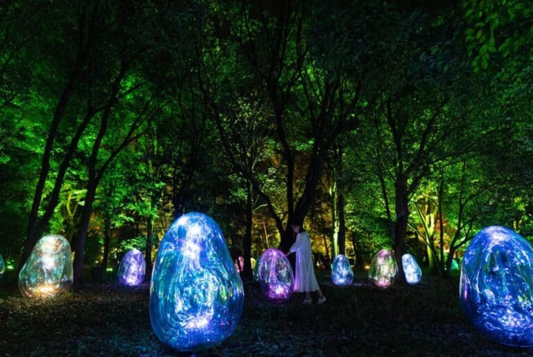 Exposition TeamLab au jardin botanique