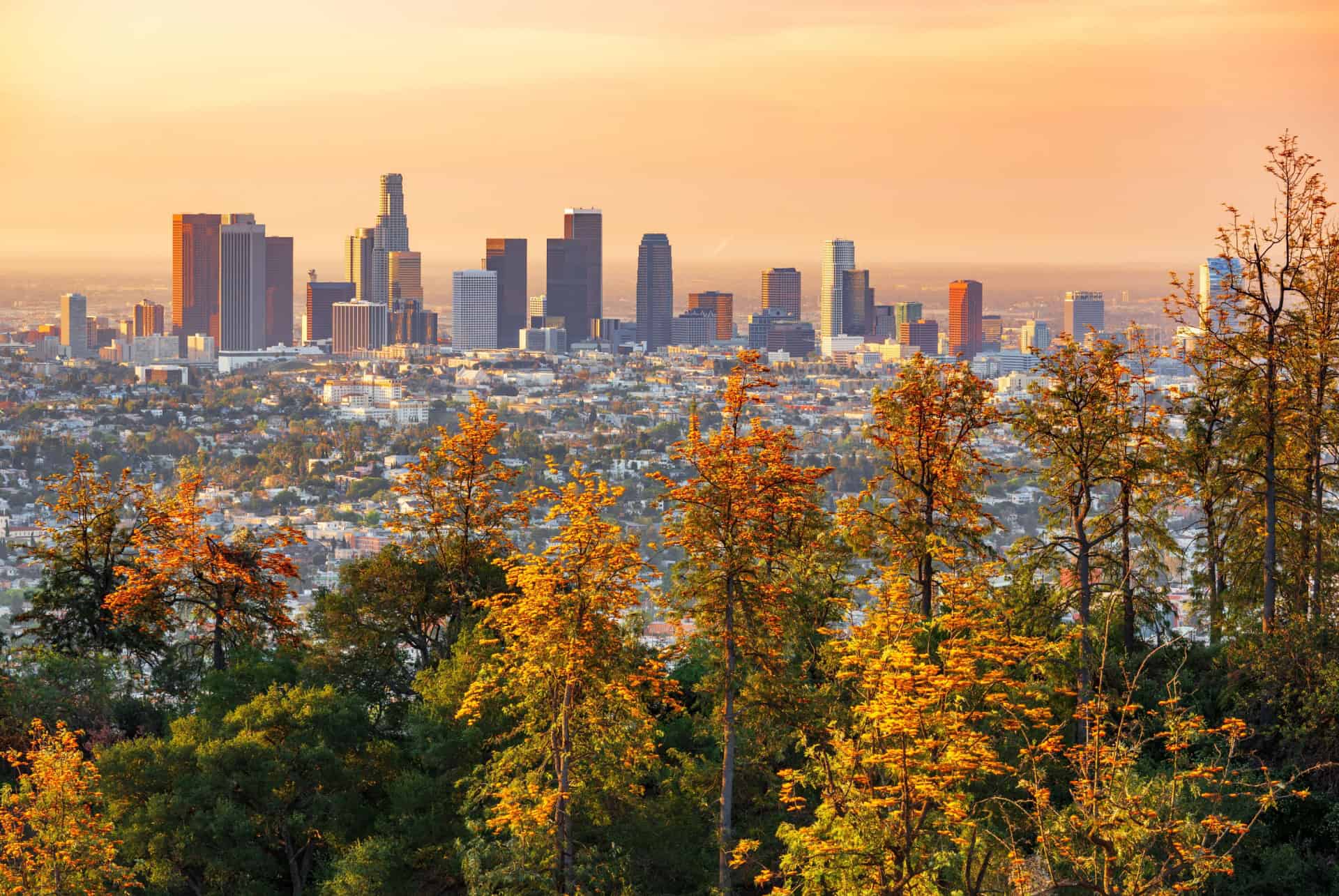 californie en automne
