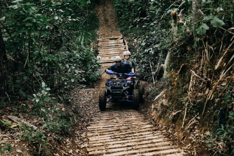 Baignade avec les dauphins, quad en quad et chute d'eau