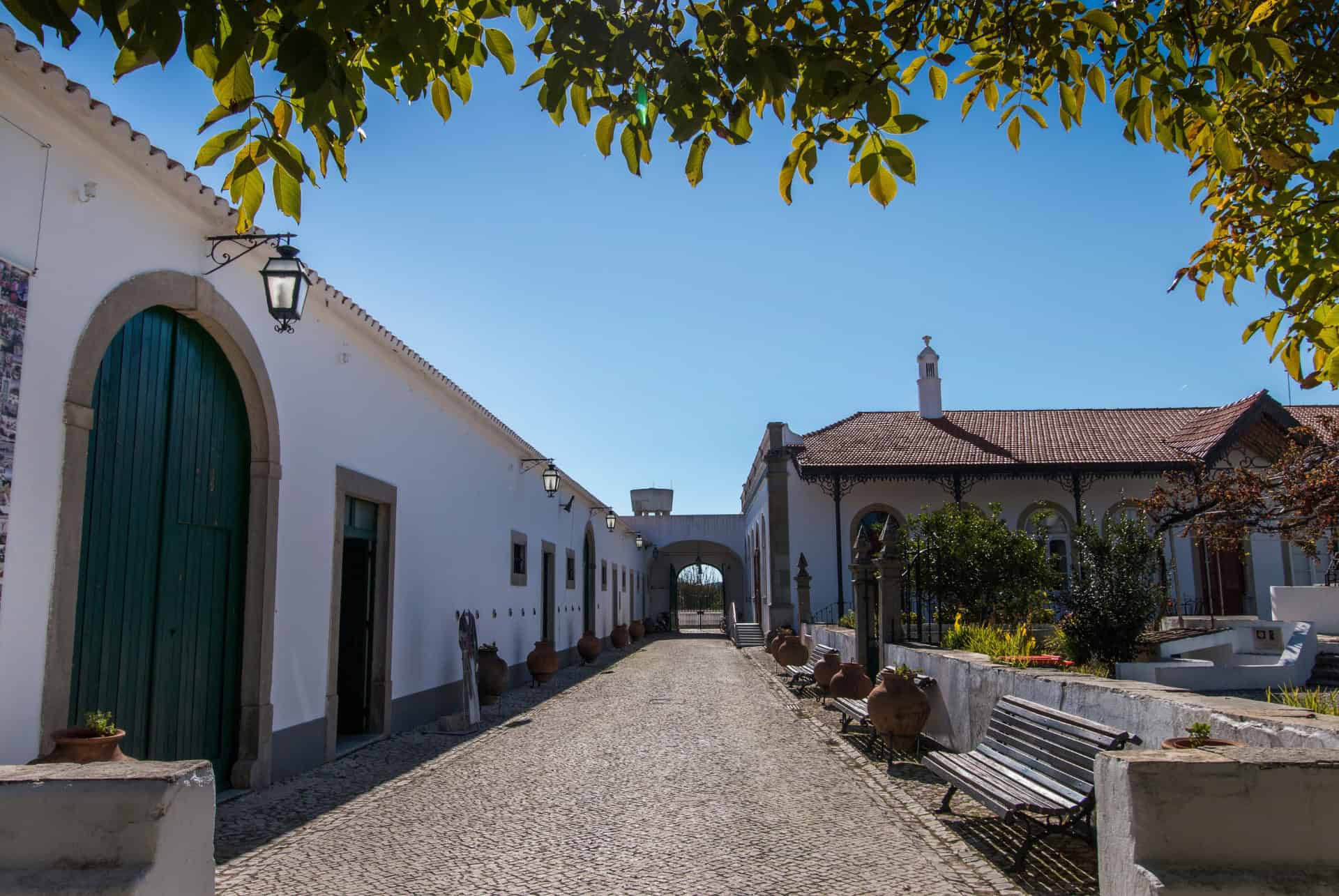 musee du costume de algarve