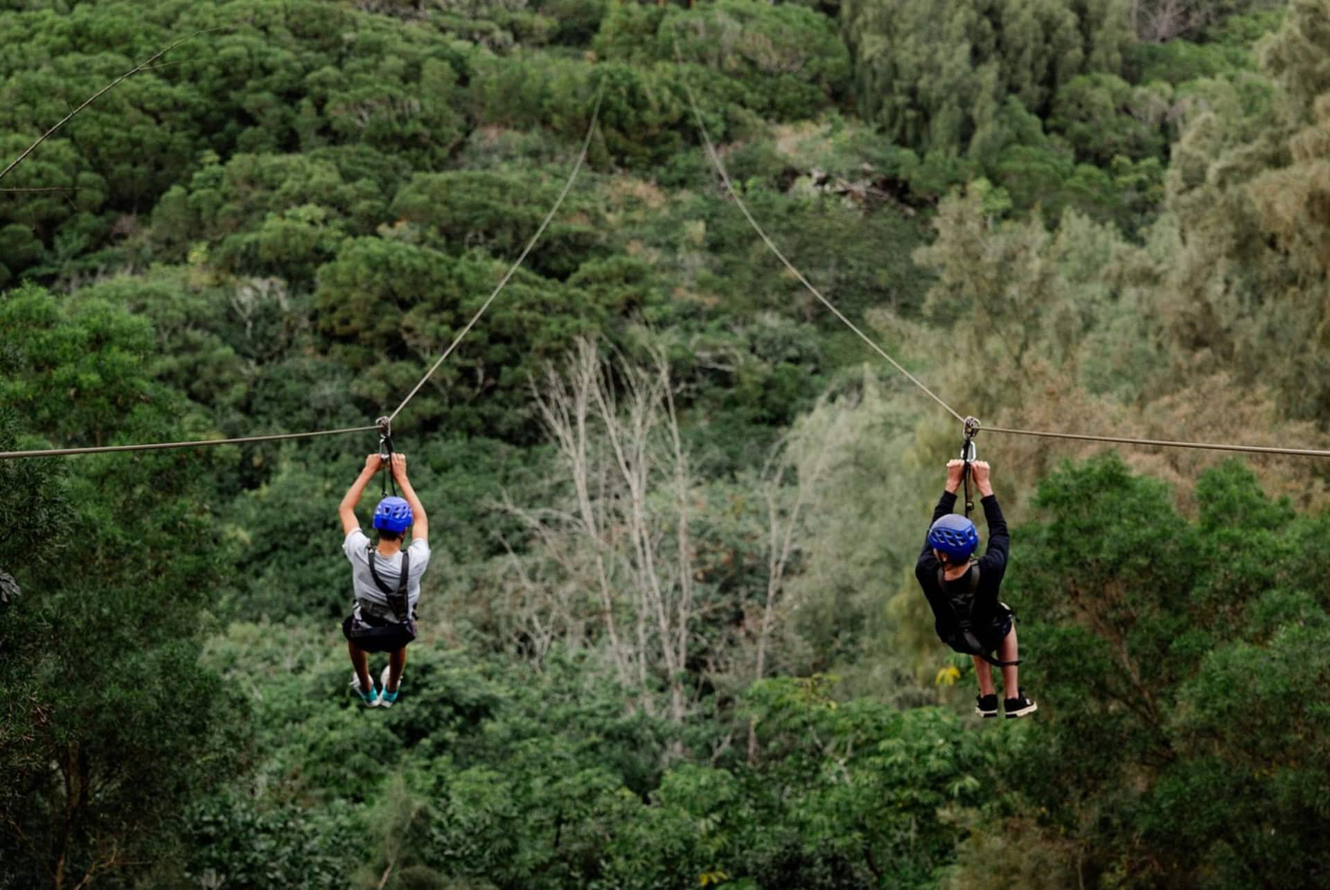 aventure tyroliennes