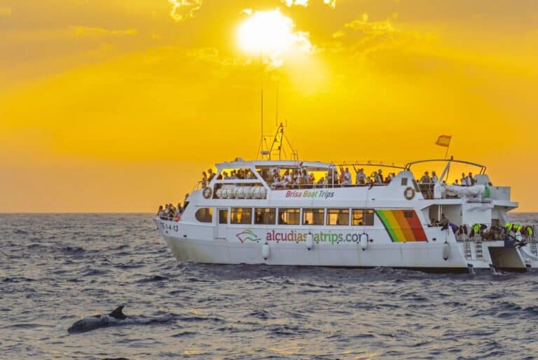 Croisière d'observation des dauphins au lever du soleil