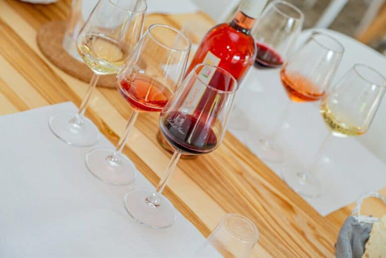 Dégustation de vin et d'huile d'olive dans une ferme locale