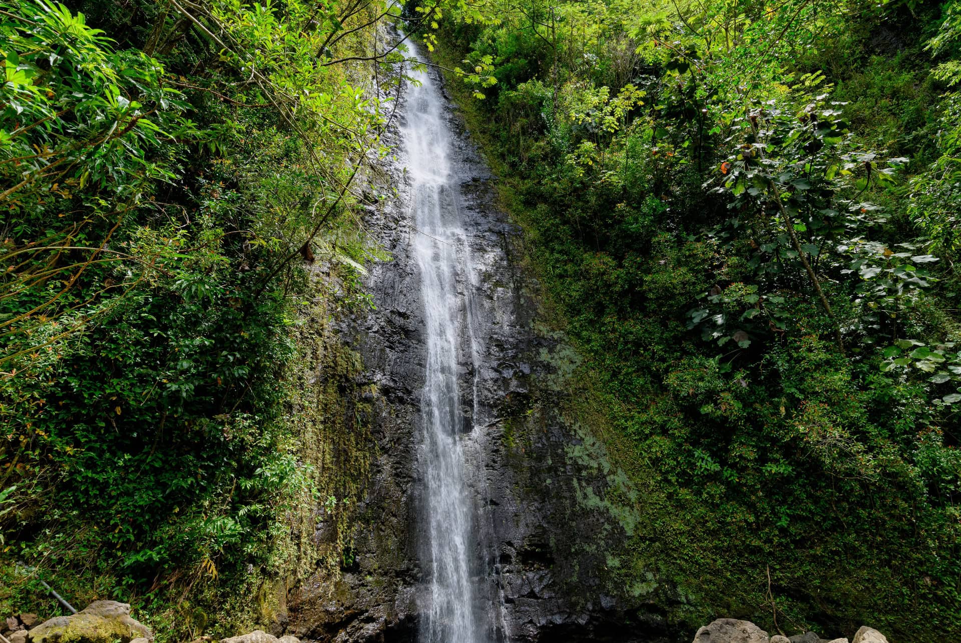 les chutes de manoa
