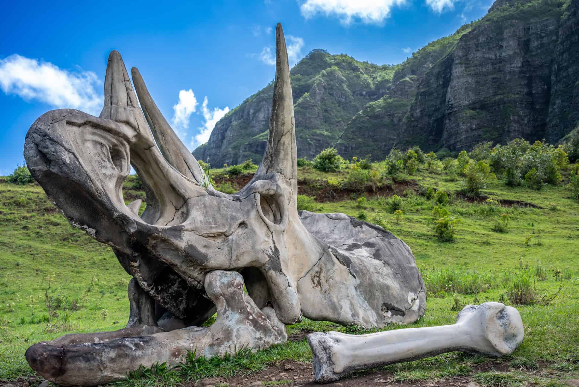 que faire a oahu visiter le ranch de kualoa et voir les lieux de tournages holyywoodiens
