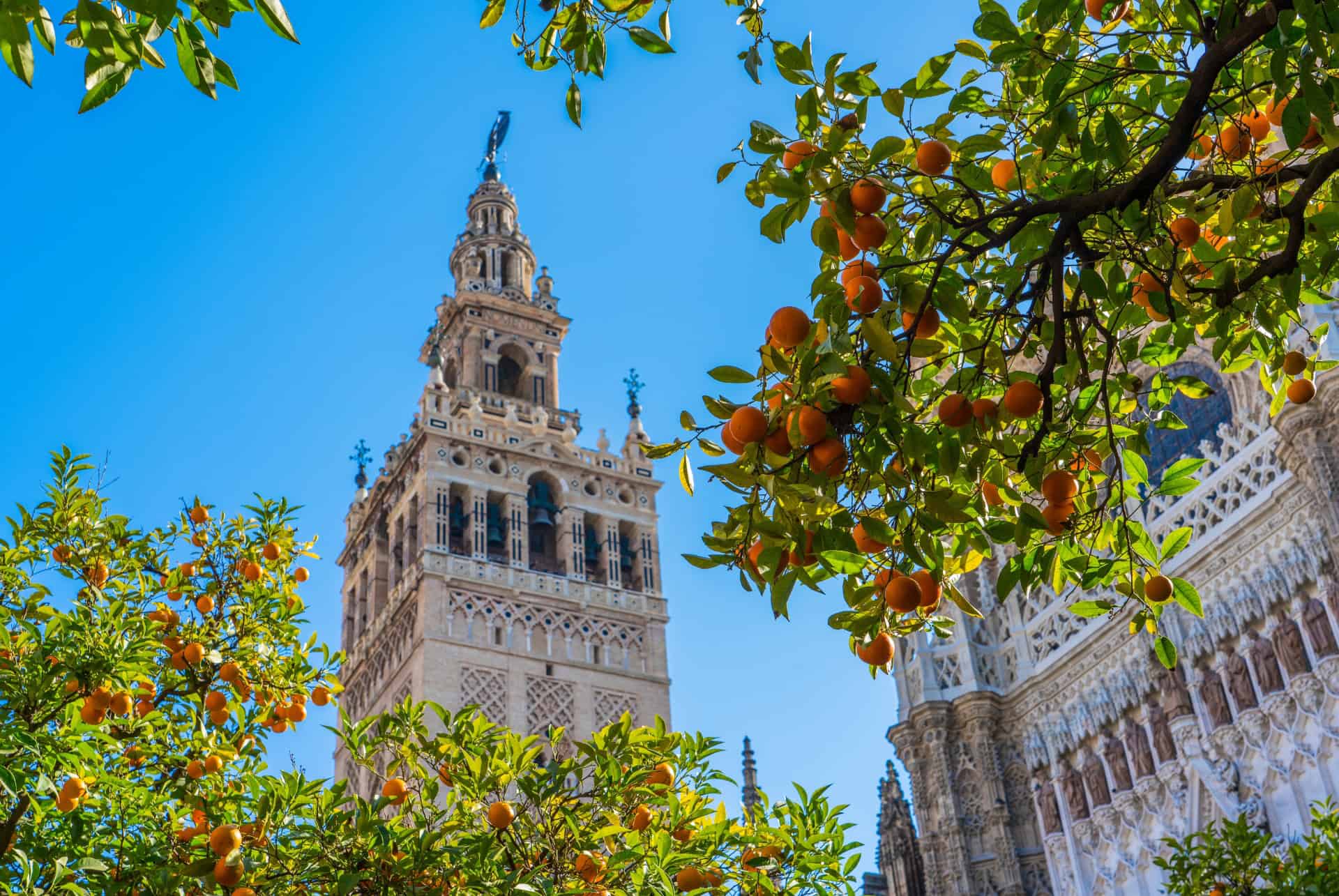 giralda séville