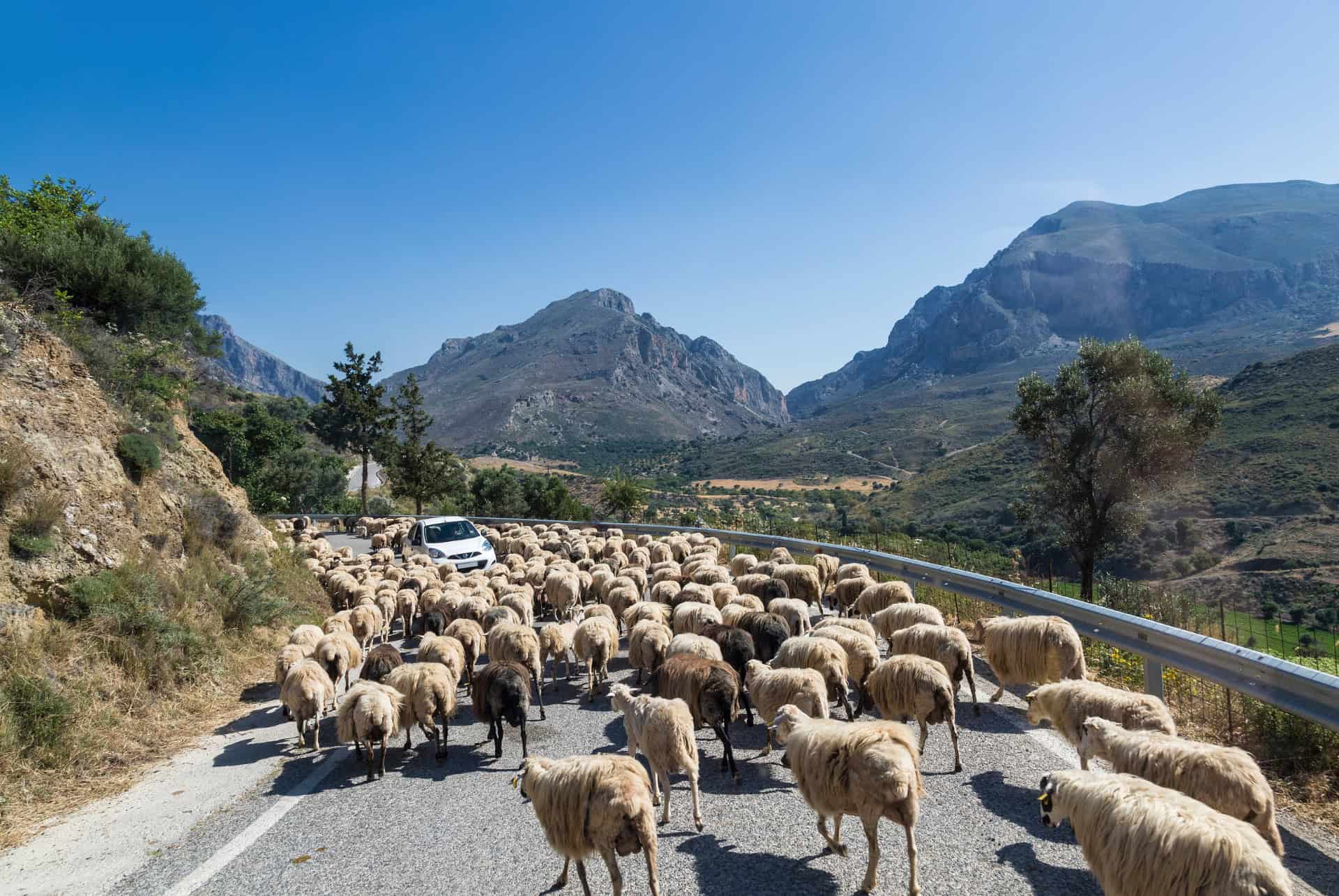 voiture de location sur une route de montagne en crete
