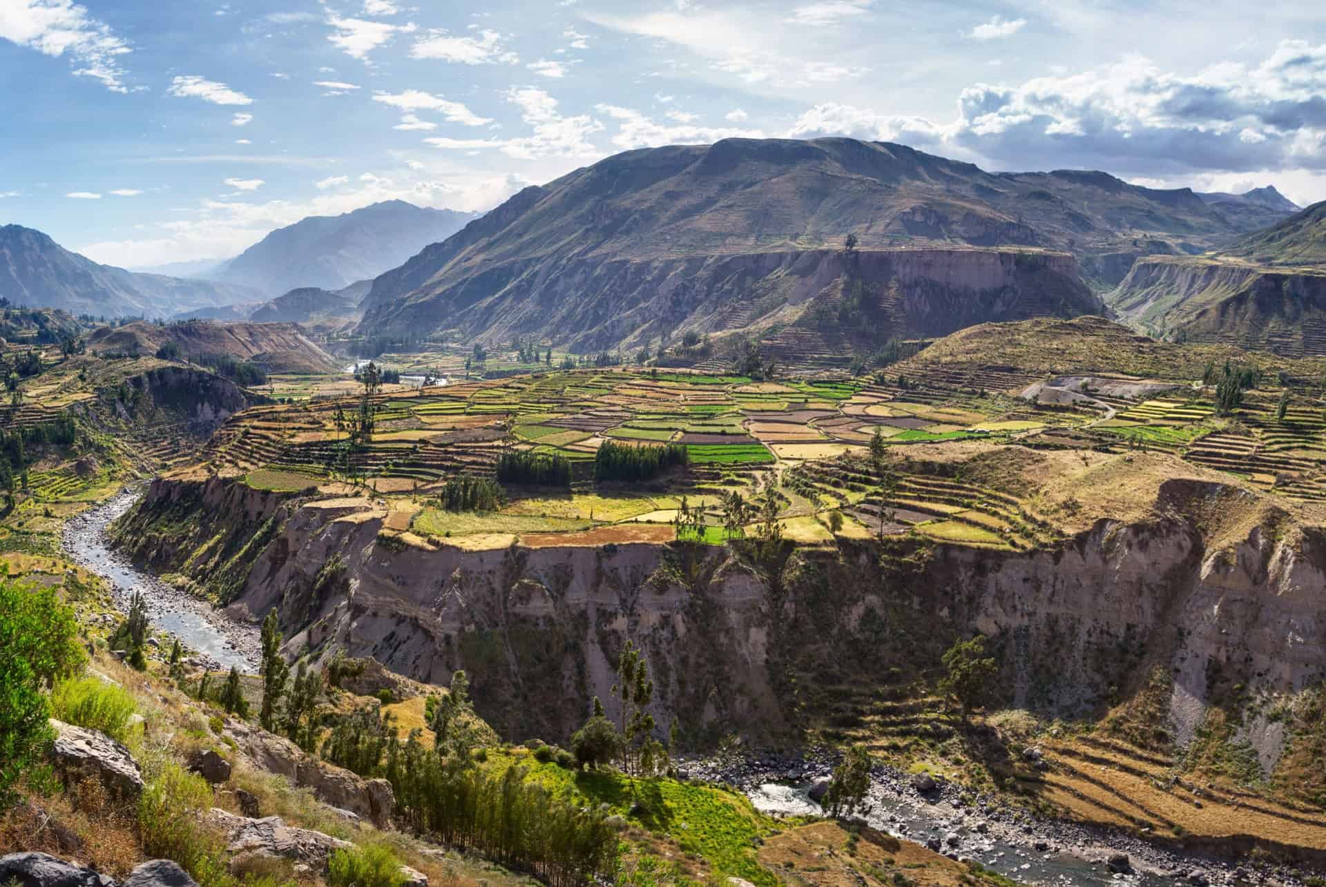 canyon de colca perou riziere