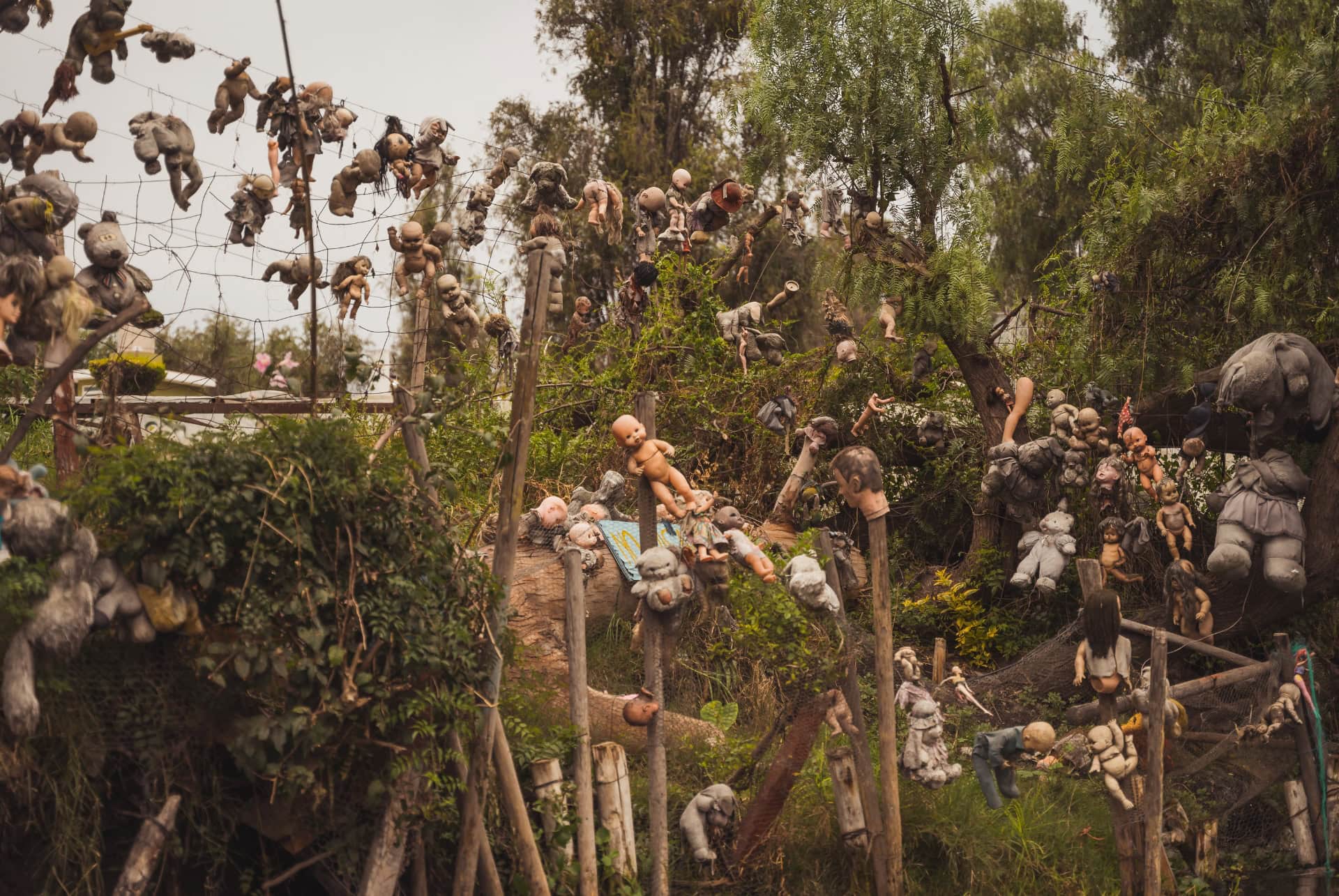 ile aux poupees xochimilco