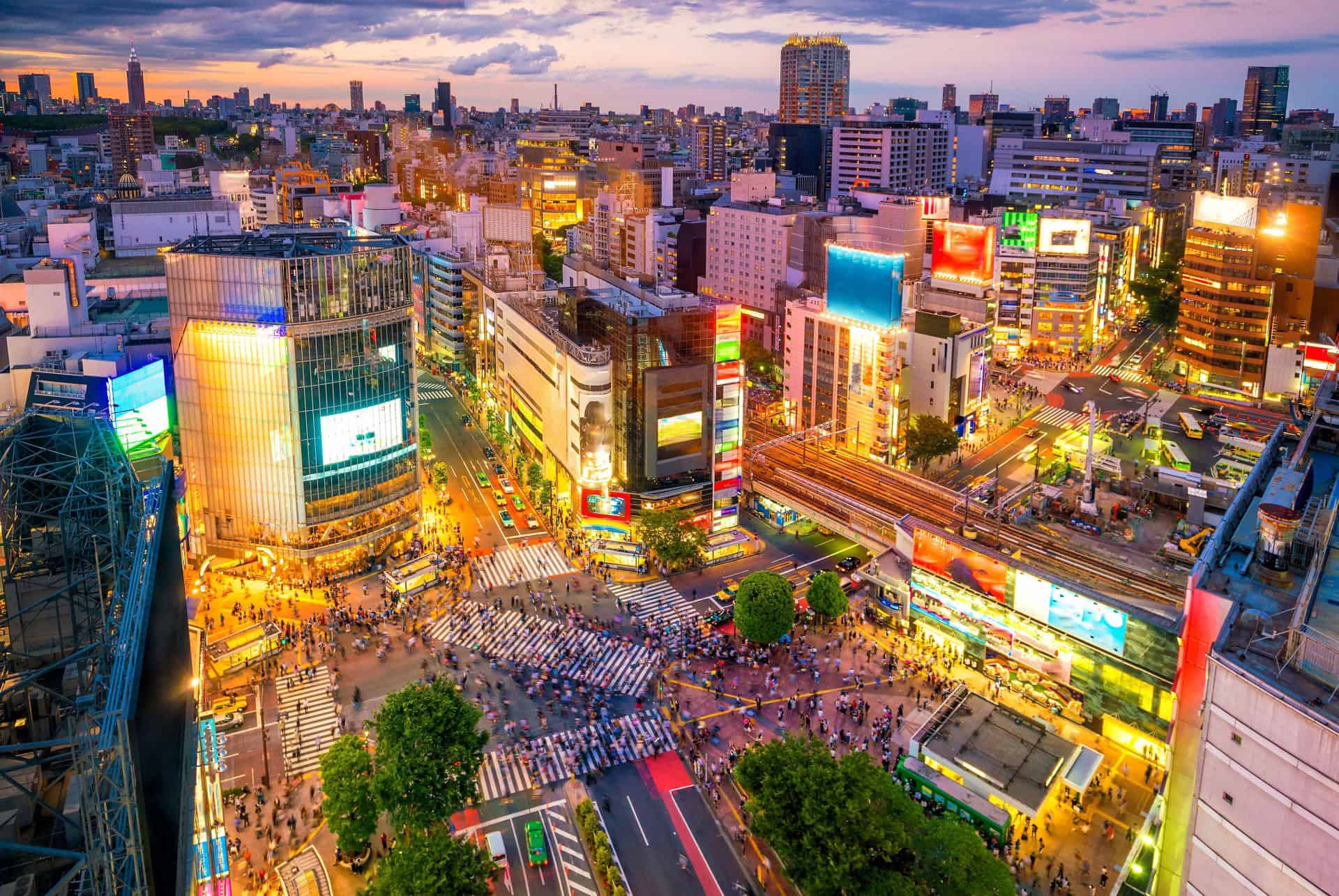 shibuya crossing tokyo en septembre